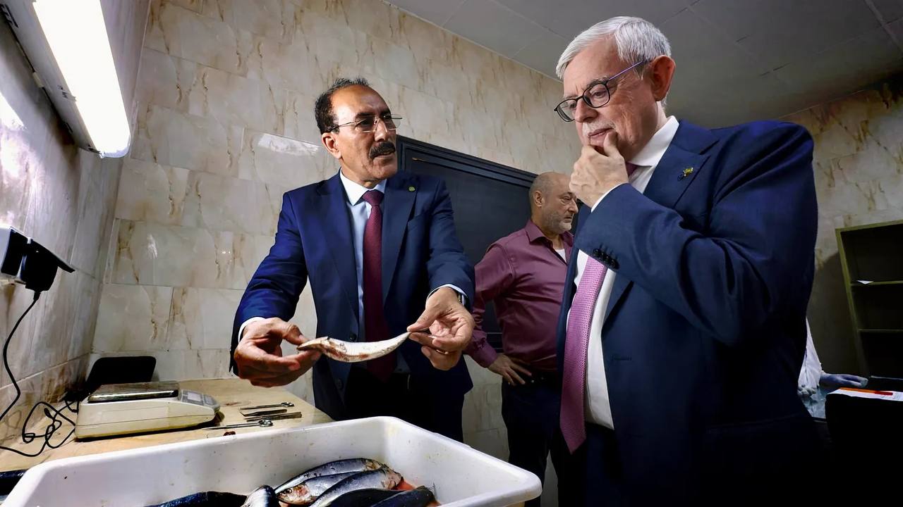 photo 2026 03 25 18 49 42